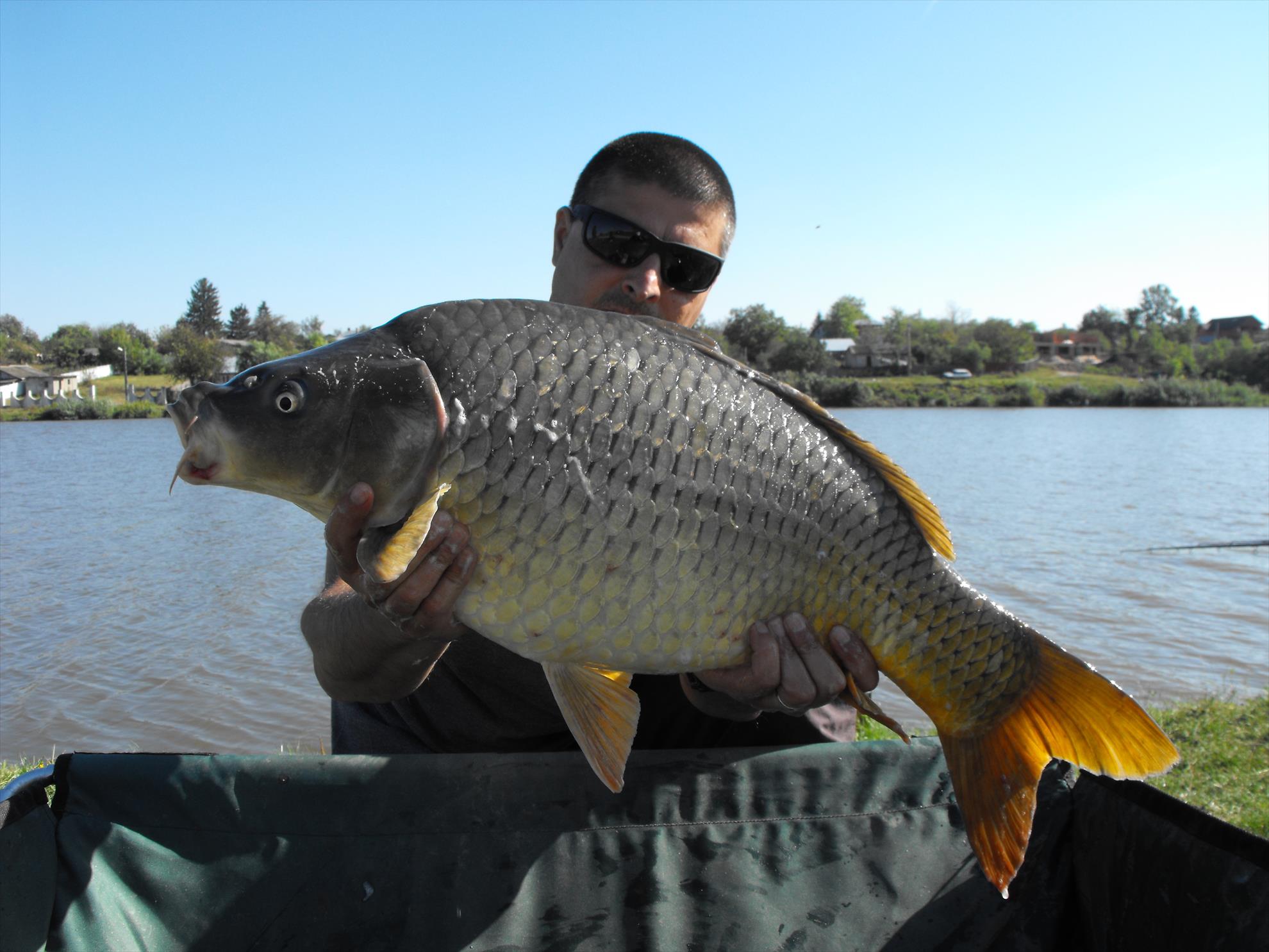 Moara Vlasiei 2 29 septembrie 2014 - dscf1026.JPG